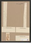Synedra ulna var. amphirhynchus (Ehr.) Grun. (de-Toni-Nr.: Genus 66, Species 2584) Zeichnungen Sammlung Grunow Nr. 5199 (NHMW-BOT-W0373561)